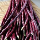 15 Purple Red Yard Long Bean Seeds Asian Chinese Noodle Bean String Beans