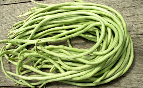 15 Yard Long Bean Seeds Asian Chinese Long Bean String Beans Productive