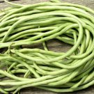 15 Yard Long Bean Seeds Asian Chinese Long Bean String Beans Productive