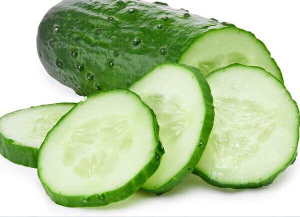 25 Spacemaster Cucumber Seeds Bush Cucumber Bush Type Plant Container Garden