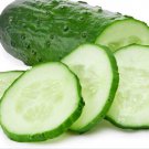 25 Spacemaster Cucumber Seeds Bush Cucumber Bush Type Plant Container Garden