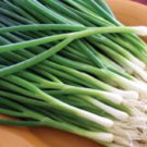 200 Green Onion Seeds Tokyo Long White Bunching Onion Scallion Shallot Fresh Us
