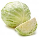 200 Early Golden Acre Cabbage Seeds Chinese Cabbage White Center Ave Wt 3Lbs