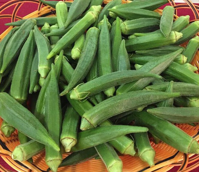 50 Okra Seeds Emerald Okra Vegetable Fresh Garden Seeds