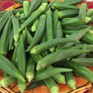 50 Okra Seeds Emerald Okra Vegetable Fresh Garden Seeds