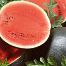 25 Sugar Baby Watermelon Seeds Garden Bush Watermelon Avg Wt 7 10 Lbs
