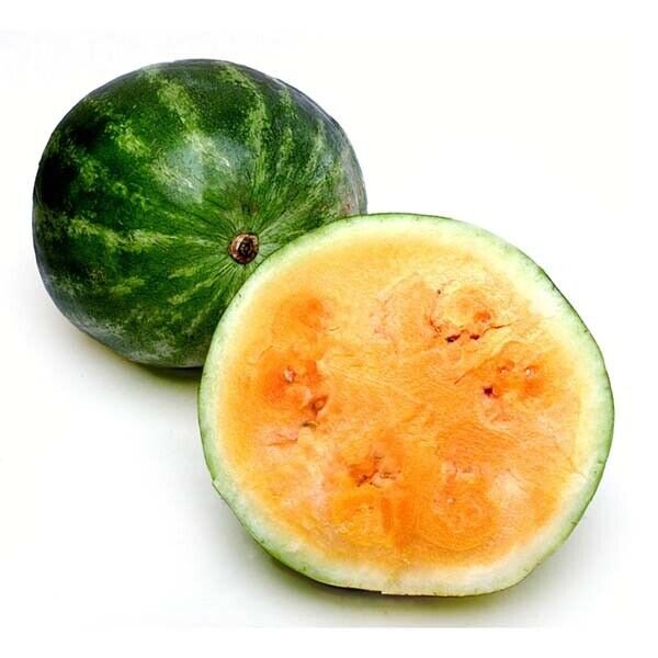 20 Tendersweet Orange Watermelon Seeds Average Fruit Wt 25 40Lb