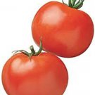 100 Tomato Seeds RutgerS Tomato Fresh Garden Vegetable