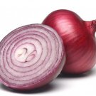 200 Onion Seeds Red Burgundy Onion Allium Cepa Fresh Garden Vegetable