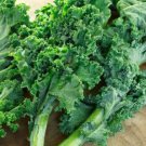 200 Kale Seeds Dwarf Blue Curled Scotch Kale Vate Blue Curled Kale