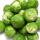 300 Brussel Sprouts Seeds Catskill Brussel Sprouts Brassica Oleracea