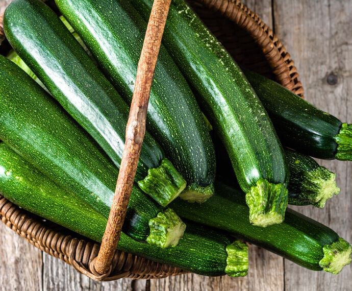 20 Dark Green Zucchini Squash Seeds Courgette Italian Zucchino Vegetable