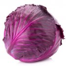 300 Seeds Red Acre Cabbage Brassica Oleracea Fresh Garden Vegetable