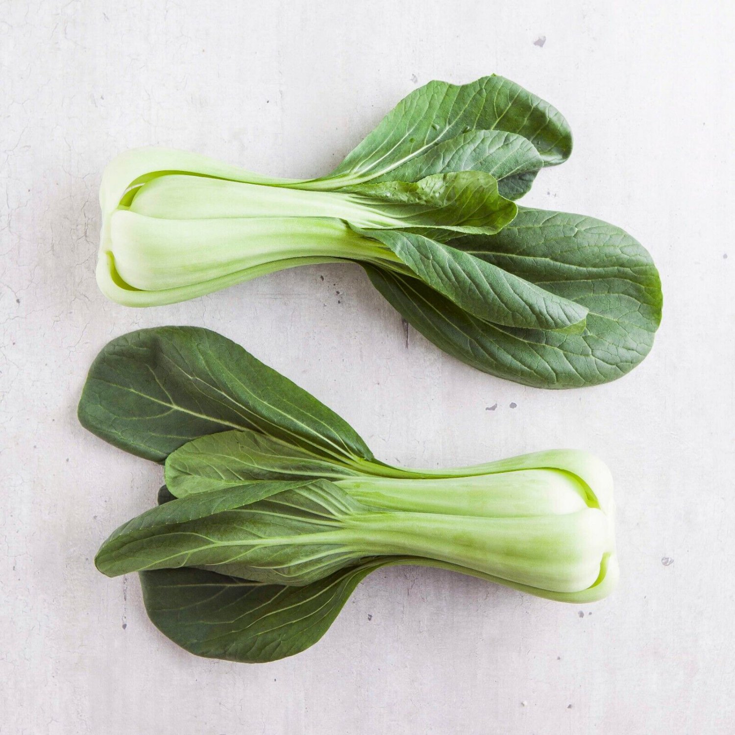 200 Seeds Chinese Cabbage Pak Choi Mei Qing Choi Shanghaiqing Vegetable
