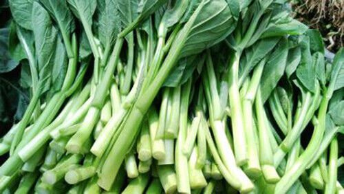 200 Seeds Asian Yu Choy Choi Sum Choy Sum Chinese Flowering Cabbage Veggies