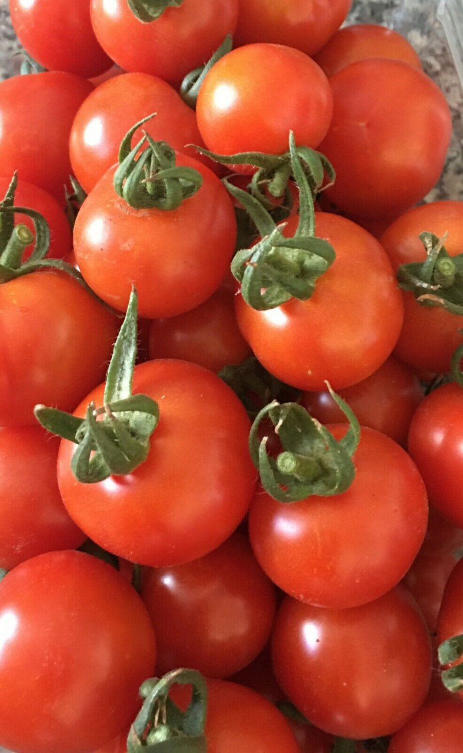 100 Organic Red Sweetie Cherry Tomato Seeds Lycopersicon Fruit Vegetable