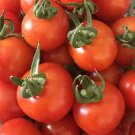 100 Organic Red Sweetie Cherry Tomato Seeds Lycopersicon Fruit Vegetable