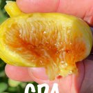 Fig Tree Cutting Combo Pack Order