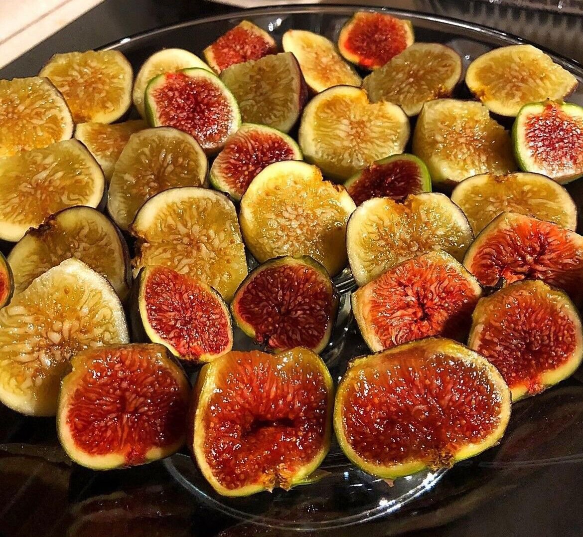 Edible Fruit Plants Combo Pack