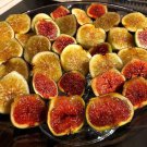 Edible Fruit Plants Combo Pack