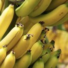 Banana Plants And Pineapple Combo 8 Plants