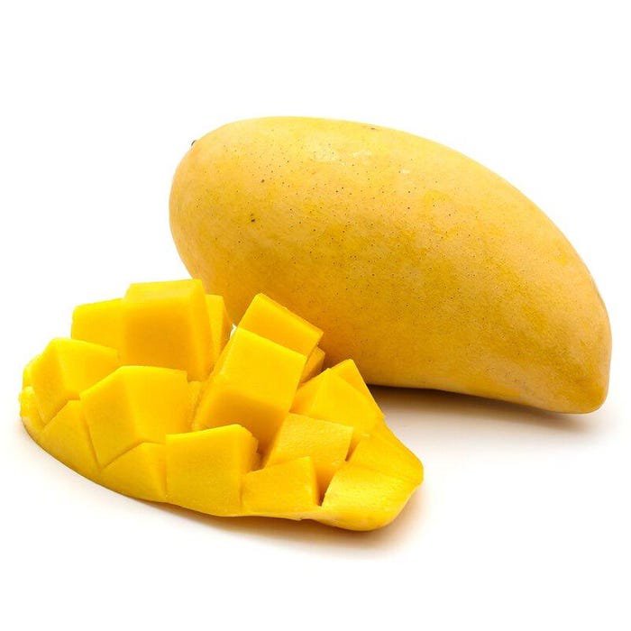 Alphonso Mango Authentic Live Fruit Tropical Tree 10Inch-1Ft Manglifera Seedling