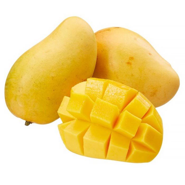 Seedling Manila Mango Mangifera Indica Tropical Fruit Live Tree 10Inch-24Inch