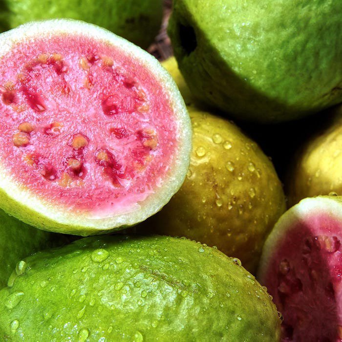 Red Guava Psidium Guajava Live Guava Fruit Tree 10Inch-1Ft