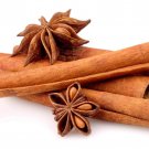 Cinnamon Ceylan Cinnamomum Verum Live Tropical Cinnamon Tree 12 Inches-24 Inches Canela