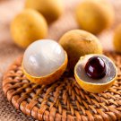 Big Longan Dimocarpus Longan Dragon Eye Tropical Live Fruit Tree 2-3Ft Arbol Frutal Vivo