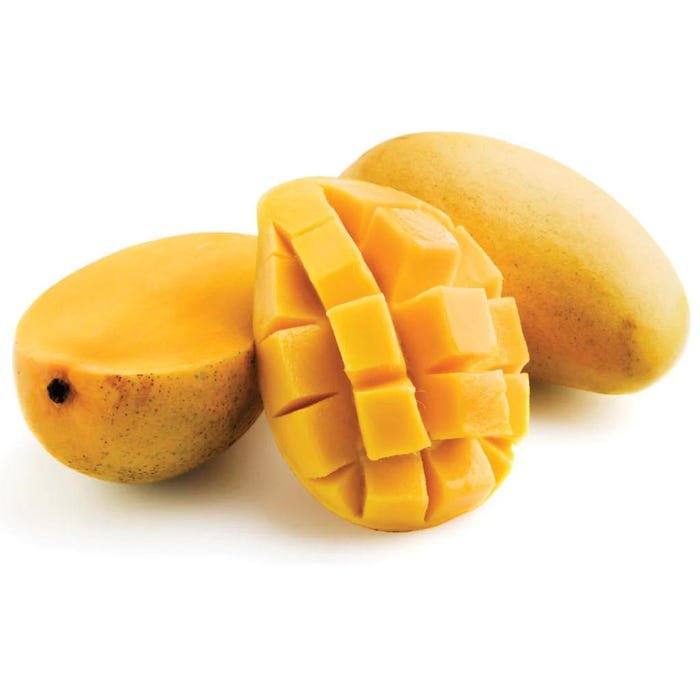 Big Mango Ataulfo Mangifera Indica Tropical Live Fruit Tree 2Ft