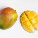 Large Grafted Mango Pineapple Live Tropical Fruit Tree 3-4 Feet Arbol Vivo Grafted