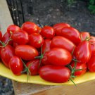 Juliet Cherry Tomato Plant Great For Salsas 2.5 inch Pot