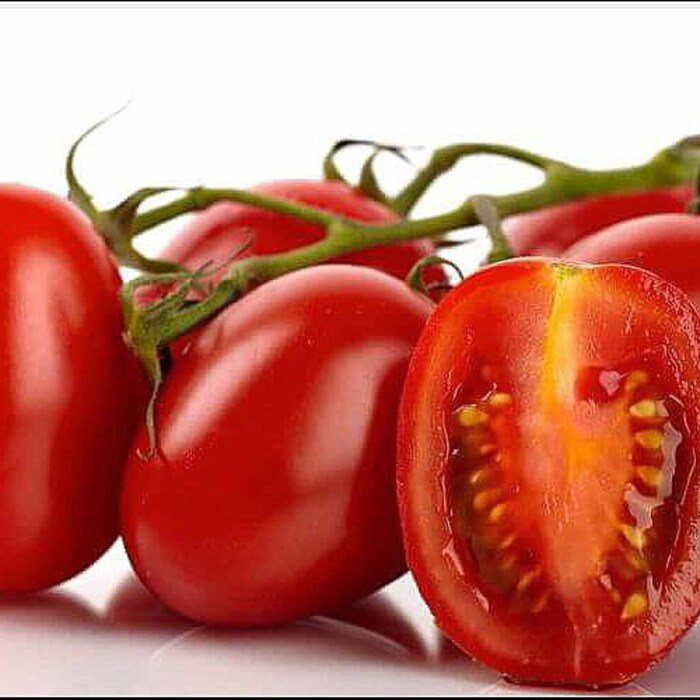 Roma Tomato Plant 2.5 inch Pot Superior Paste Tomato Meaty