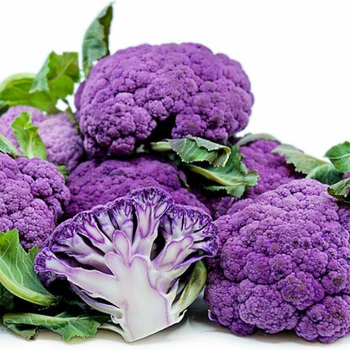 Purple Cauliflower Plant 2.5 inch Pot