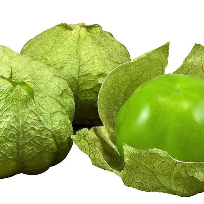 Tomatillo Plant Husk Tomato 2.5 inch Pot