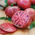 Cherokee Purple Tomato Plant 2.5 inch Pot Great Taste Yields