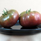 Black Brandywine Tomato Great Flavor 2.5 inch Pot