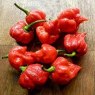 Trinidad Scorpion Chile Pepper Plant Straignt From The Depths Of Hell 2.5 inch Pot