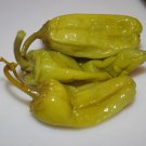 Pepperoncini Pepper Plant Great For Pickling 2.5 inch Pot