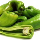 Cubanelle Sweet Pepper Plant 2.5 inch Pot Great For Frying