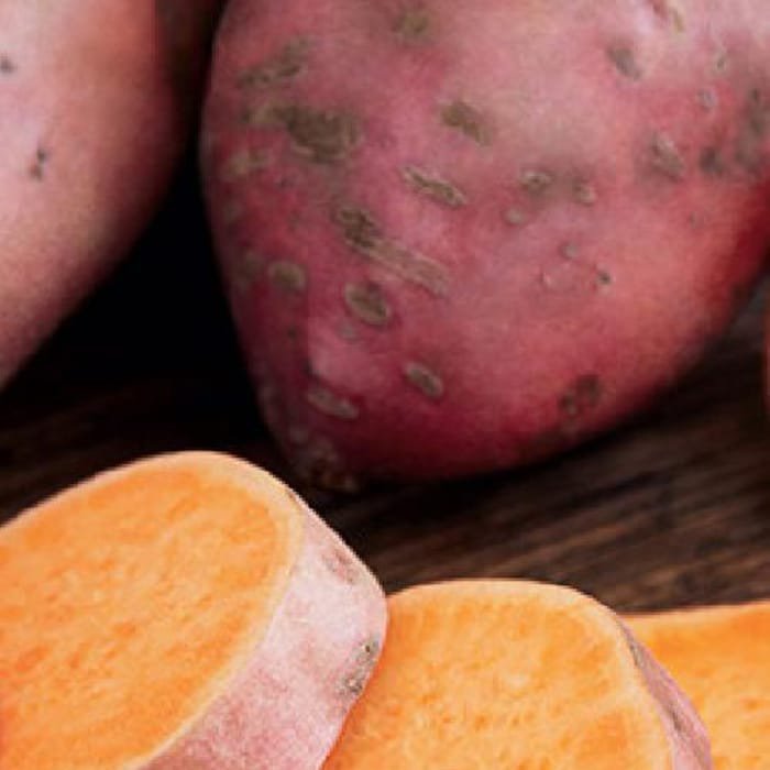 Bayou Belle Sweet Potato #1 Seed Tuber New