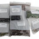 Terrarium Fairy Garden Kit Create Your Own Living Terrarium