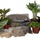 Terrarium Kit With 10 Terrarium Plants In 2 inch Pots