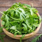 1200 Organic Arugula Seeds Microgreens