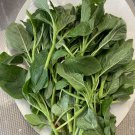 2000 Green Amaranth Seeds Chinese Spinach Green Edible Vegetable