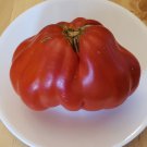 Canestrino di Lucca tomato seeds (25 - great flavor, perfect for sauces