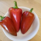 Ajvarski Peppers (20 Seeds, Sweet and great for frying or grilling