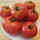 Moskvich Tomato (25 seeds - early and steady producer