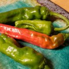 Shishito Peppers (20 Seeds Free Shipping, Fresh for 2024